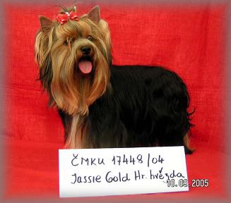 Jassie Gold Hradeck hvzda - 12 msc - bonitace